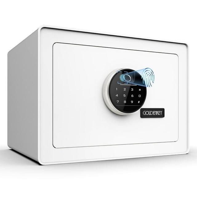 Caja fuerte para joyas Goldenkey Luxury con cierre de huellas dactilares y teclado, 35 L