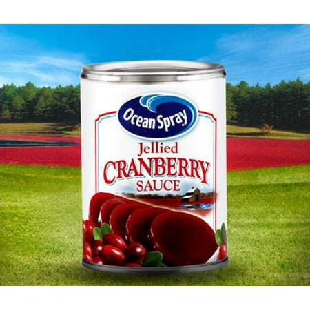 UPC 031200016058 product image for Ocean Spray Jellied Cranberry Sauce, 14 Oz | upcitemdb.com