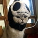 thumbnail image 2 of Sombrero de Cosplay Yinane Para Perro Gato 16x14cm, 2 of 8