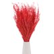 thumbnail image 1 of Ramo de flores secas Uxcell 17" Manojo de flor seca de Limonium [Rojo anaranjado, 120g], 1 of 1