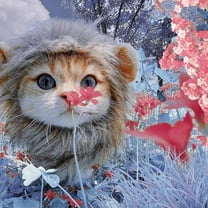 BETTERLIFE Cat Lion Clothes Hair Funny Pet Mane Wig Headgear Hat Dress Costume Up# B2F5