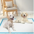 thumbnail image 3 of Oneshrt Dog and Puppy Pee Pads with Leak-Proof Quick-Dry Design for Potty Training, Standard Absorbency, 17x23 Inches, Pack of 30, 3 of 10