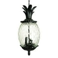 thumbnail image 6 of Lanai 3-Light Black Coral Hanging Light, 6 of 6