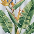 thumbnail image 5 of Orinice  Hawaiian Colors Shower Curtain, Tropical Painting of a Bird of Paradise Flower on Plain Background, Cloth Fabric Bathroom Decor Set with Hooks,  69x72, 5 of 7