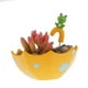 thumbnail image 5 of Resina Yard Suculentas Bonsai Bed Home DIY Pot 4, 5 of 6
