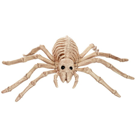 Morris Costumes Plastic Spider Skeleton Small Decorations & Props, Style SE18215