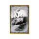 thumbnail image 1 of colonia (importación de Japón) por Blue Panther The Colony The Colony, 1 of 1