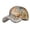 Brown, variant on Women Floral Print Flash Drill Baseball Cap Summer Star Rhinestone Adjustable Visor Hat Ladies Bling Diamond Floral Duckbill Cap Sparkly Rhinestone Printed Casual Baseball Cap for Women