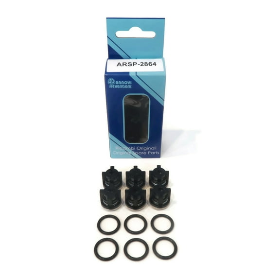 OEM Annovi Reverberi Check Valve Kit, AR2864, AR 2864 Pressure Washer Pump RK RR RG