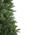 thumbnail image 4 of Northlight 9' Pre-Lit Instant Connect Neola Fraser Fir Artificial Christmas Tree - Dual LED Lights, 4 of 6