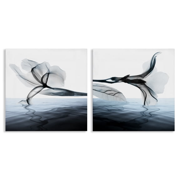 Stupell Industries Contemporary Contrast Black & Blue Blooms 2pc Canvas Art Set, 17 x 17 each, by Albert Koetsier