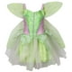 thumbnail image 1 of Vestido de disfraz de hada Petitebella 1-10 años (verde claro 2-4 años), 1 of 3