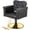 Black Gold, variant on UBesGoo Hydraulic Salon Chair, Heavy Duty 360° Swivel Barber Styling Chair, Black Gold