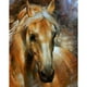 thumbnail image 2 of 5D bricolaje taladro completo diamante pintura caballo cruz puntada bordado Likrtyny decoración de arte, 2 of 9