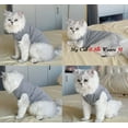 thumbnail image 2 of Dog Shirts Pet Clothes Blank Clothing,3Pcs Puppy Vest T-Shirt Sleeveless Costume, 2 of 6