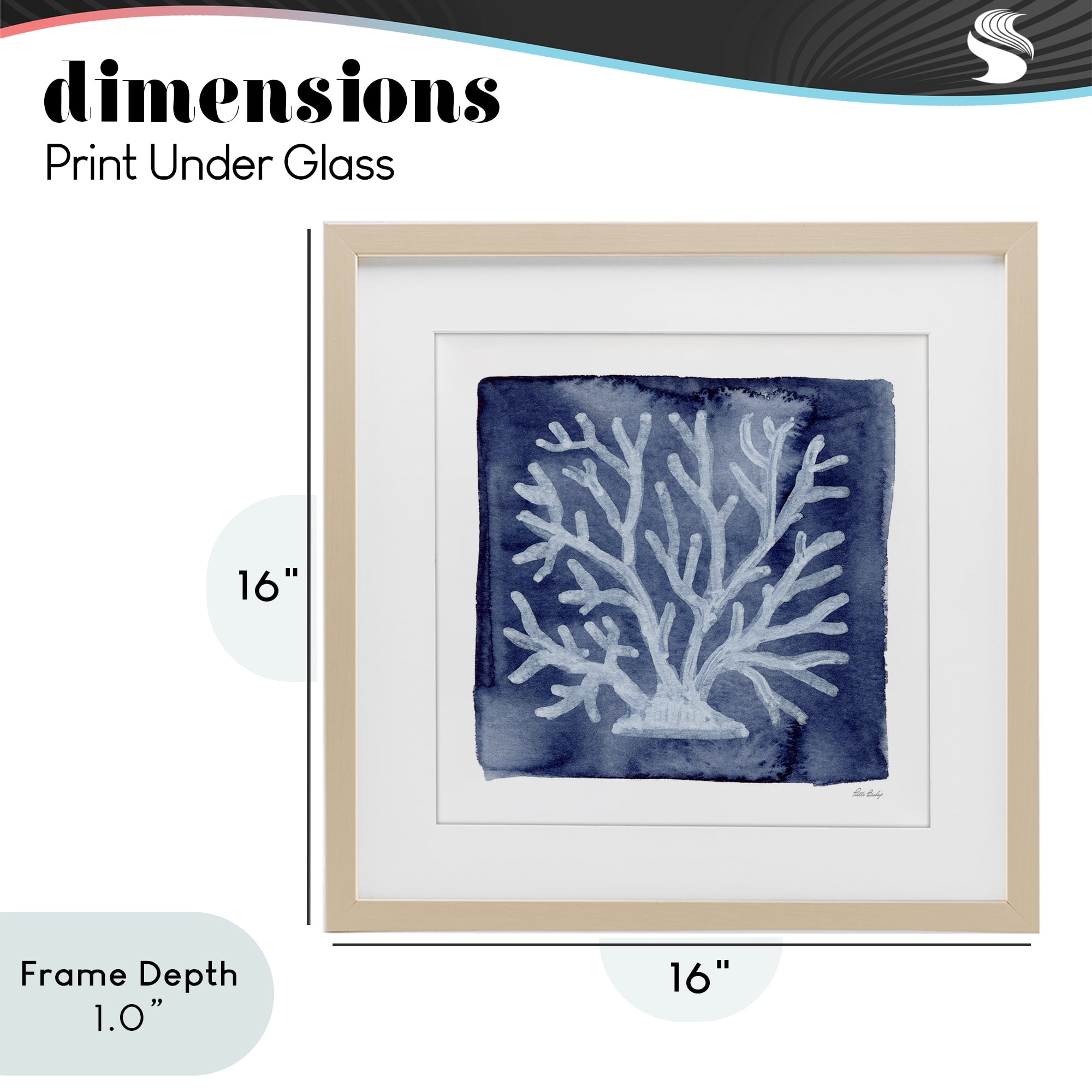 Stupell Industries White Coral on Indigo Birch Framed Print Under Glass, design by Patti Bishop