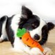 thumbnail image 1 of Juguete para perros Fernando con fugas de alimentos zanahoria Bola de golosinas, 1 of 8