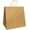 Natural, variant on PTP BAGS Natural 10" x 7" x 12" Tote Bags [Pack of 250] Recyclable Kraft Paper Gift, Food Service Bags