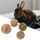 thumbnail image 4 of Chew Toy Bunny Rabbits Solid 4Pcs Durable for Bunny Rabbits Guinea Pigs Gerbils Home ANGGREK Otros, 4 of 8
