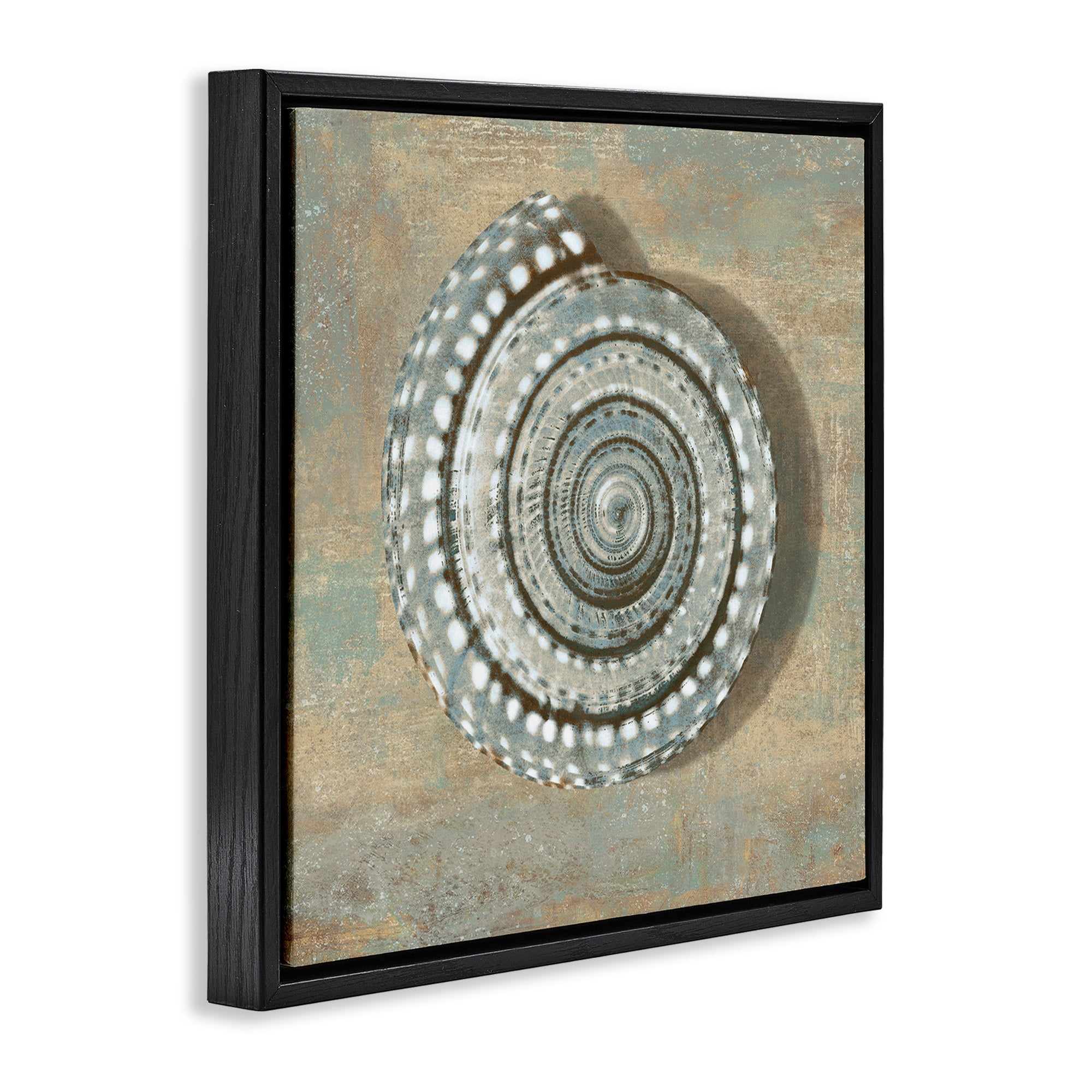 Stupell Industries Spiral Shell Beach Objects Design Nature Painting Black Floater Framed Canvas Art Print Wall Art, 25 x 25