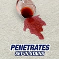 thumbnail image 4 of Resolve Professional Strength Spot and Stain Carpet Cleaner, Red, 32 Fl Oz (Pack of 1), 4 of 11