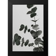 thumbnail image 1 of Artographie Studio 17x24 Black Modern Framed Museum Art Print Titled - Eucalyptus Natural 05, 1 of 4