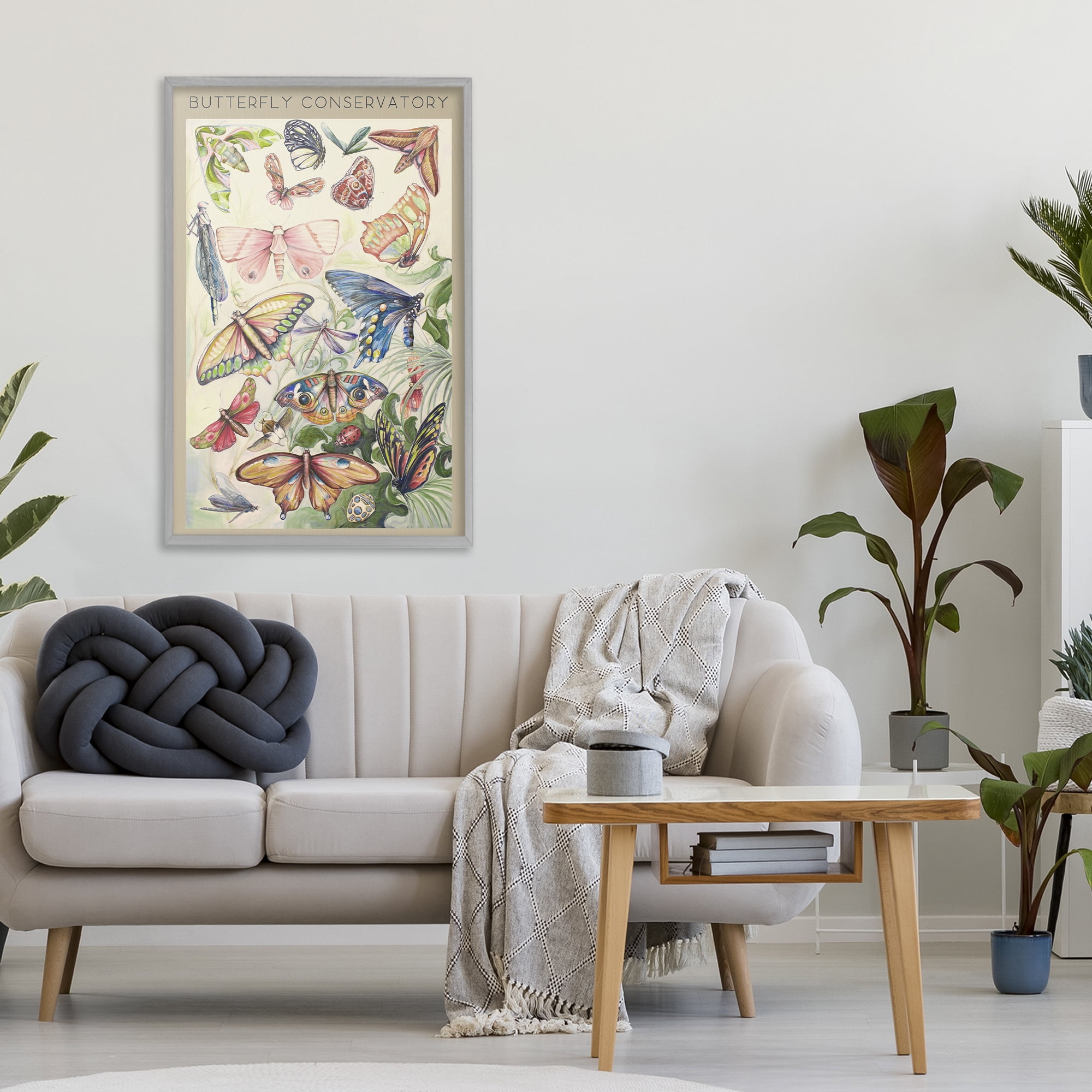 Stupell Industries Butterfly Conservatory Insects Gray Framed Giclee Art, design by Diannart