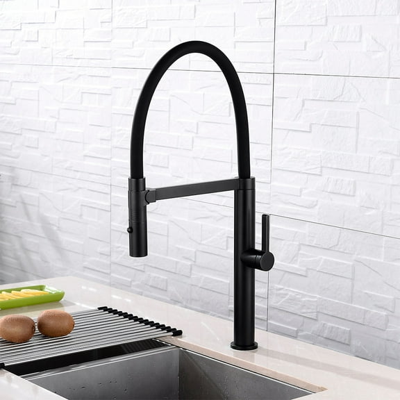 DAX Brass Single Handle Pull Out Kitchen Faucet with Dual Sprayer and Shower, Black