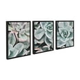 thumbnail image 2 of Kate and Laurel Sylvie Botanical Succulent Plants Framed Canvas Wall Art Set by The Creative Bunch Studio, Set of 3, 18x24 Black, Chic Botanical Art for Wall, 2 of 8