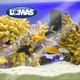 thumbnail image 2 of Limpiador Magnetico Lomas extra grande, 2 of 2