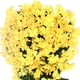 thumbnail image 2 of Flor violeta artificial reutilizable para colgar en la pared, decoración de ramo violeta (amarillo) Likrtyny Libre de BPA, 2 of 3