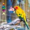 thumbnail image 2 of ZITA ELEMENT Bird Toys 8 Pack Parrot Toys for Small Parakeets Cockatiels Conures Finches Swing Chewing Hanging Bell Cage Hammock Toy, 2 of 8