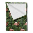 thumbnail image 2 of Flamingo Soft Flannel Fleece Throw Blanket, Repetitive Pattern of Exotic Bird and Monstera Leaves, Cozy Plush for Indoor and Outdoor Use, 60" x 80", Charcoal Grey Dark Salmon, by Ambesonne, 2 of 5