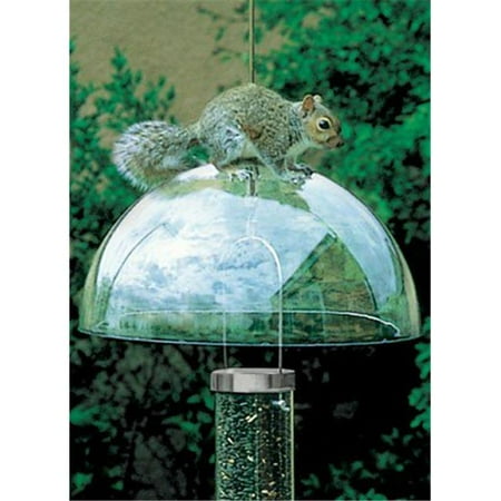- Droll Yankees Inc Squirrel Baffle Squirrel Guard - Green