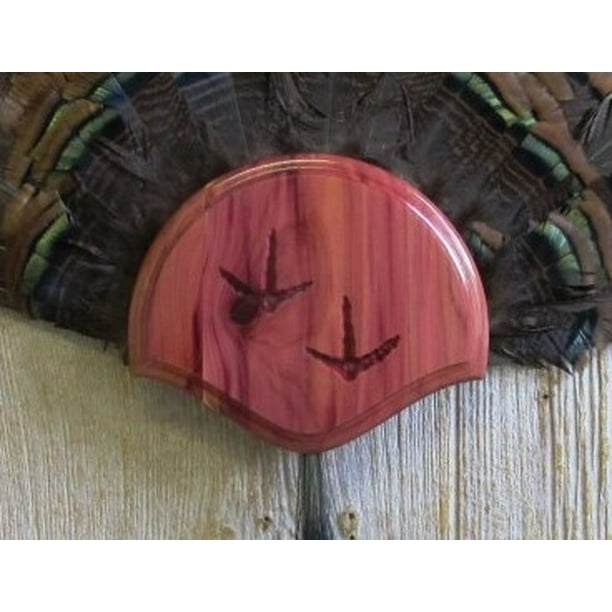The Taxidermists' Cedar Turkey Fan Mounting Kit 01 with Carved