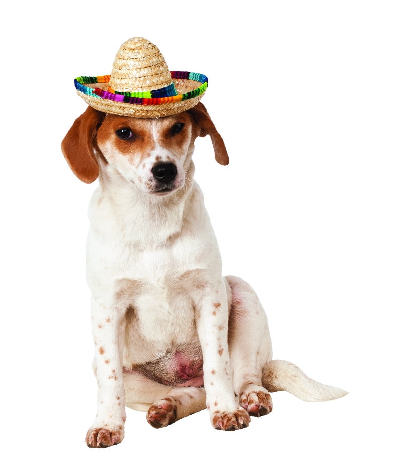 sombrero hat walmart