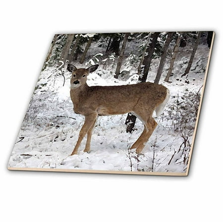 - 3dRose Deer - Ceramic Tile, 12-inch