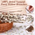 thumbnail image 5 of Trianu 20Pcs Snow Willow Branches 15.7" Pussy Willow Branches, Real Dried Pussy Willow Branches for Vase, Natural Pussywillows with White Flowers, Snow Willow Branches for Indoor and Outdoor Decor, 5 of 7
