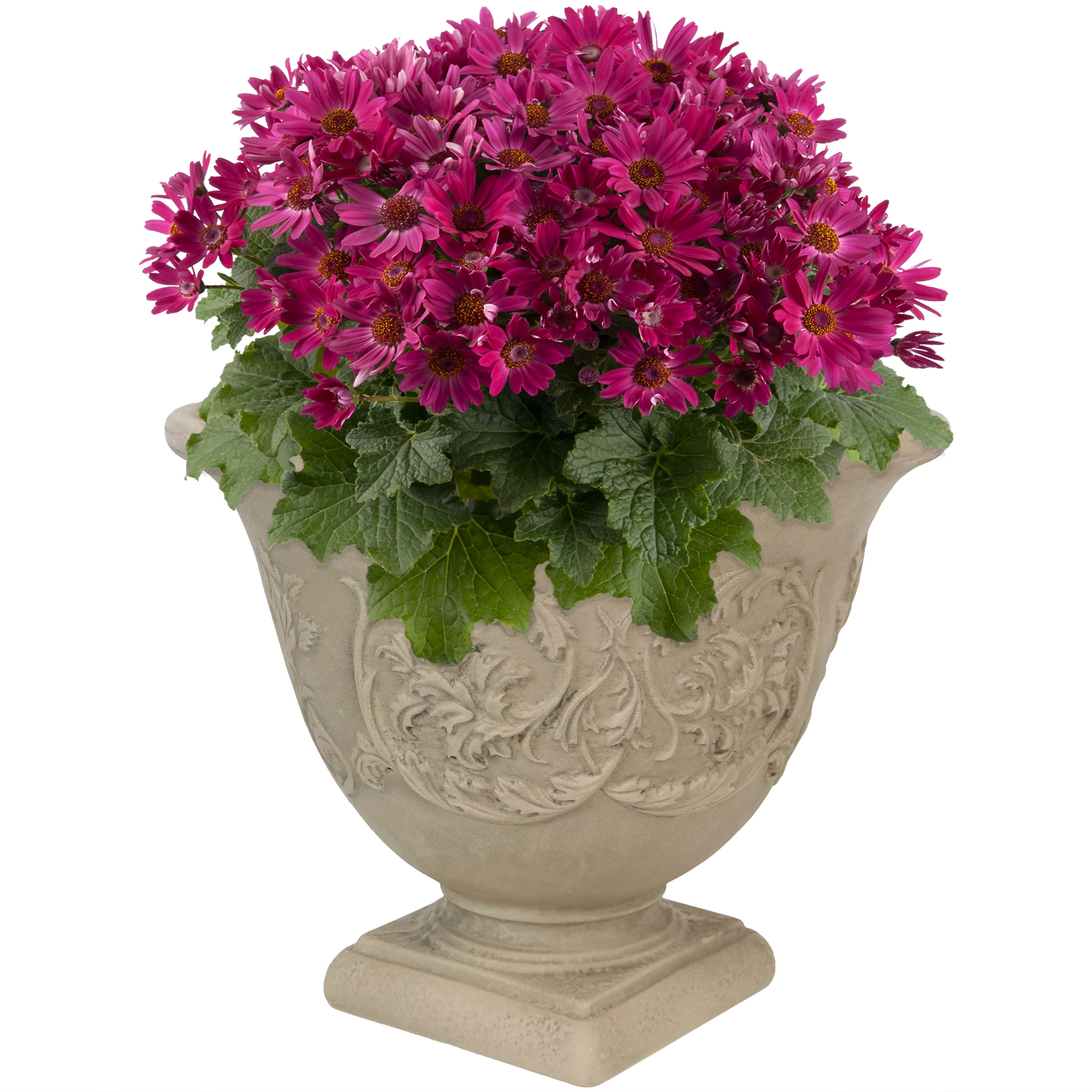 Ceramic Succulent Cactus Pot16 Vintage Container Planter Handmade Flower Decor 