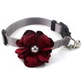 thumbnail image 1 of Corbata de lazo para perro y gato con flor de geranio, collar de nailon para perro con cascabel de perlas MFZFUKR CPB-US-YY380-1, 1 of 5