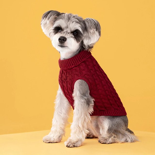 Soild Color Winter Dog Warm Sweaters Pet Supplies Dog Sweaters Twist Knit Sweaters Stylish Universal Casual Warm Pet Clothing ShopWise Round