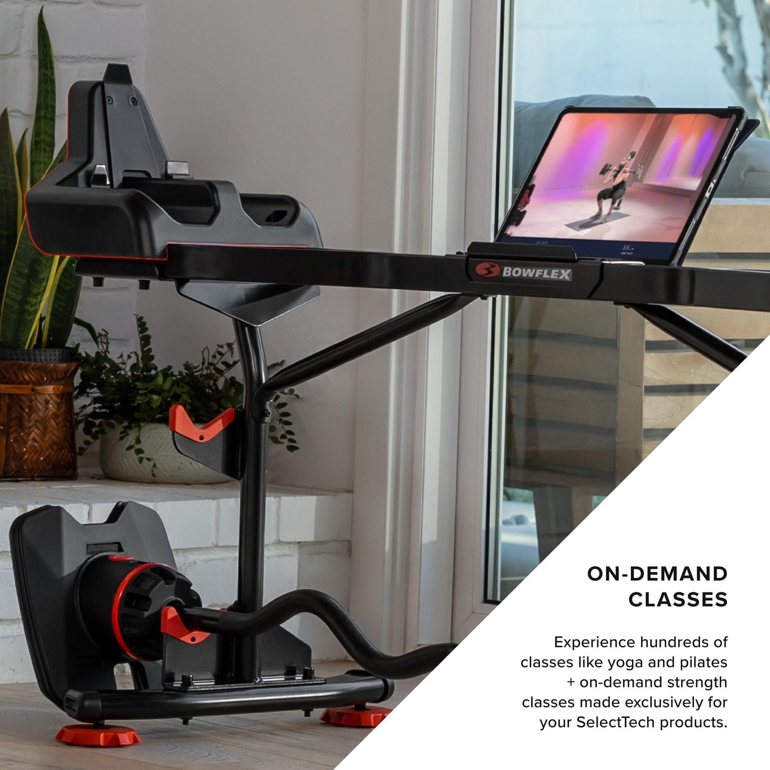 Bowflex SelectTech 2080 Barbell with Curl Bar