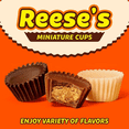 thumbnail image 6 of Reese’s Peanut Butter Cups Miniatures Assortment Bulk Chocolate Holiday Candy (2 Pounds), 6 of 10