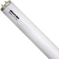 Sylvania 21536 - F14T12/DCW/1/6/RP Straight T12 Fluorescent Tube Light Bulb