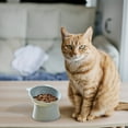 thumbnail image 2 of FAMTKT Cat Food Bowl Pet Feeding Bowl Tilted 15 Degree Slip and Rollover Pet Bowl Elevated Slanted Stand Pet Bowls for Cats and Small Dogs on Clearance, 2 of 4