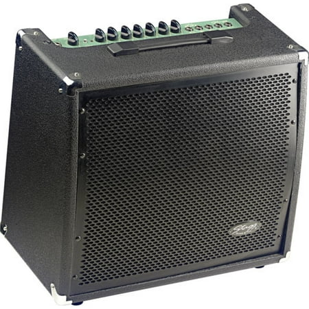 Stagg 60 GA R USA 2-Channel Electric Guitar Amplifier with Spring Reverb