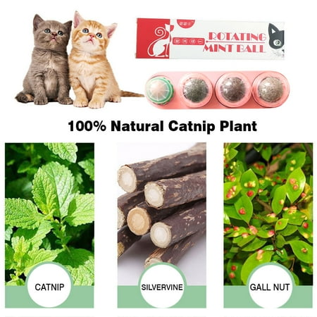 cheap catnip