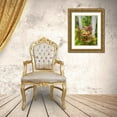 thumbnail image 3 of Gulin, Sylvia 15x18 Gold Ornate Wood Framed with Double Matting Museum Art Print Titled - Hawaii-Maui-garden on the Road to Hana with palms and tea plants, 3 of 4