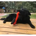 thumbnail image 4 of Dog Toy for Aggressive Chewers, Durable Prey Dog Chew Toy【CA】, 4 of 4