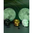 thumbnail image 2 of Becki Owens Black, White and Gold Halloween Set of 3 Skull Decor, 2 of 4